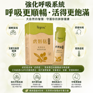 虎奶菇養氣飲 產品圖 1