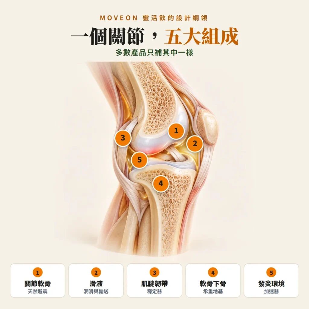 一個關節五大組成:關節軟骨、滑液、肌腱韌帶、軟骨下骨、發炎環境