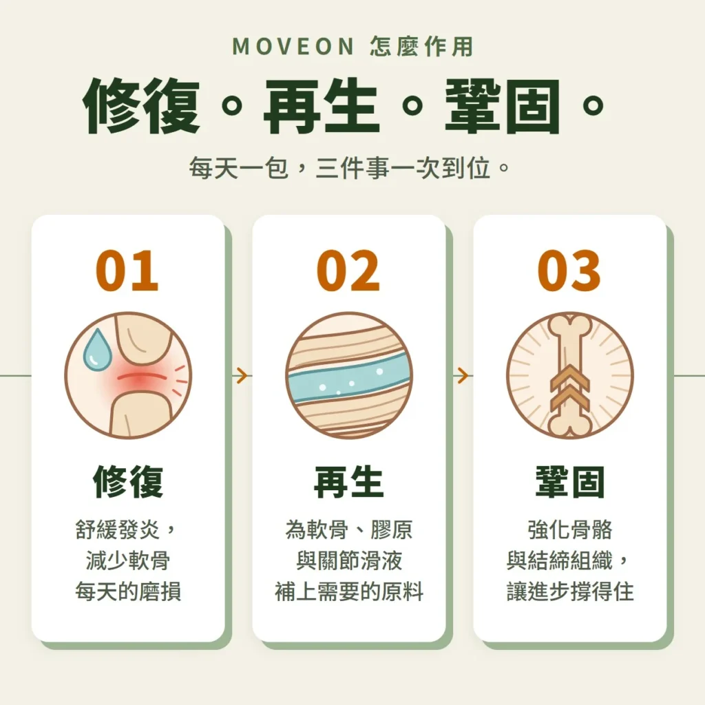 MOVEON 怎麼作用：修復、再生、鞏固
